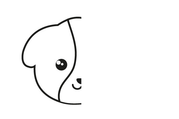 Dog Symmetry Drawing: A Designer’s Real-World Embroidery Review
