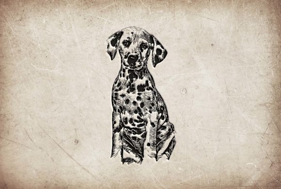 Vector Hand Drawing Illustration Dog